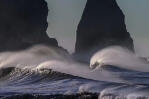 como gestionar la rabia